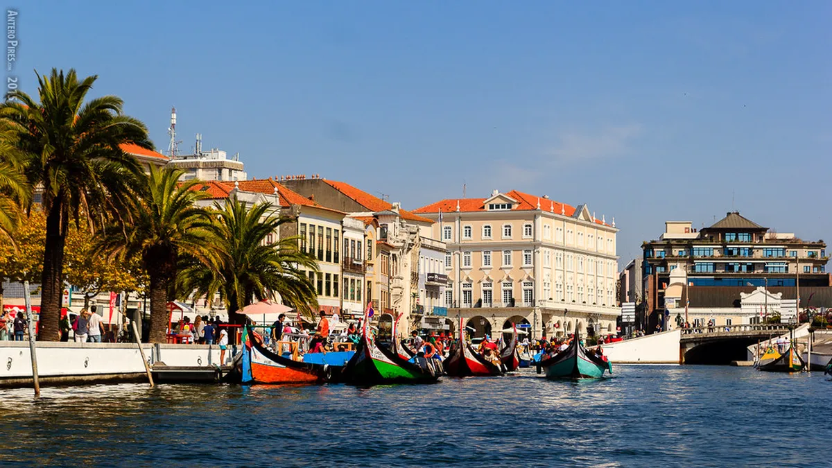 Aveiro Moliceiro Boat Tours: Your 2025 Essential Guide