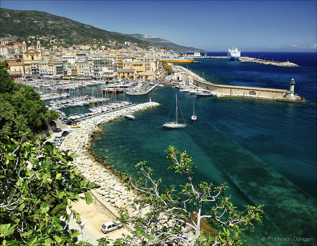 Your Essential Bastia Old Port Guide for 2025