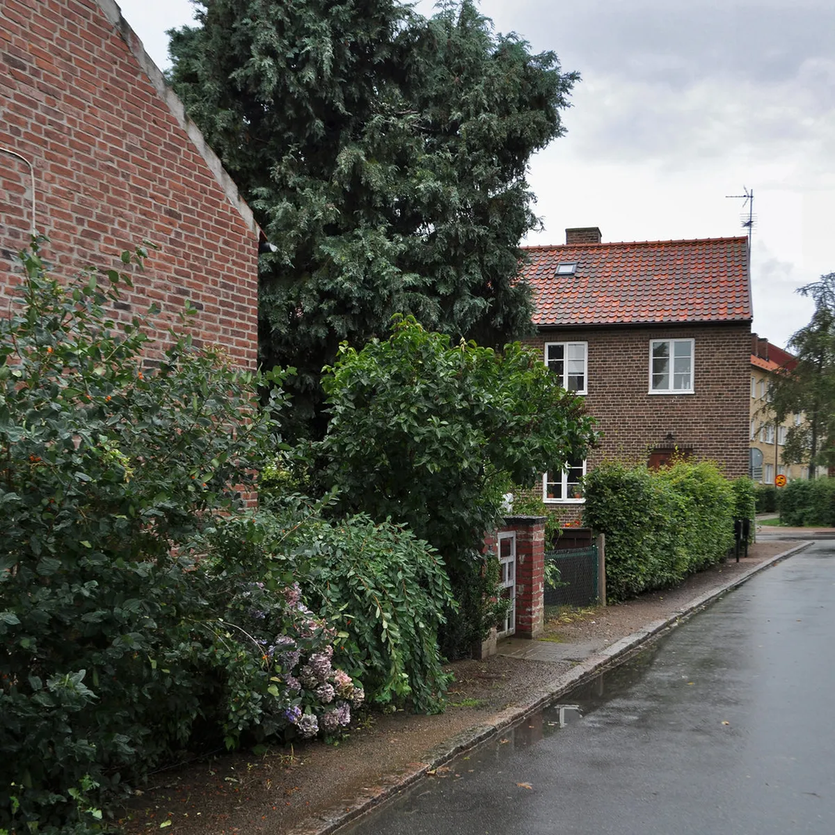 Bergen Architecture: German Influence Revealed