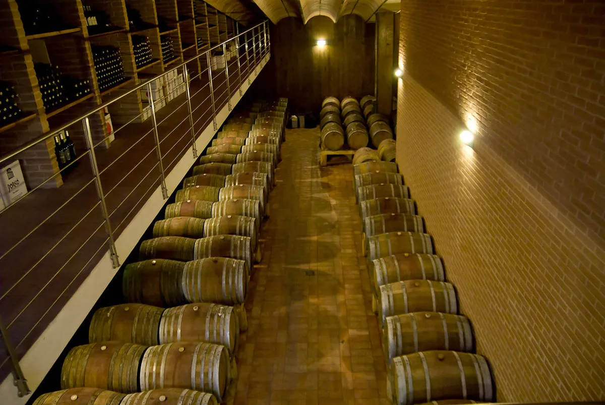 Best Ancona Day Trips in 2025: Explore the Marche Region