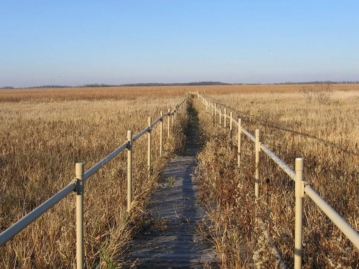 5 Unforgettable Day Trips from Ulm in 2025