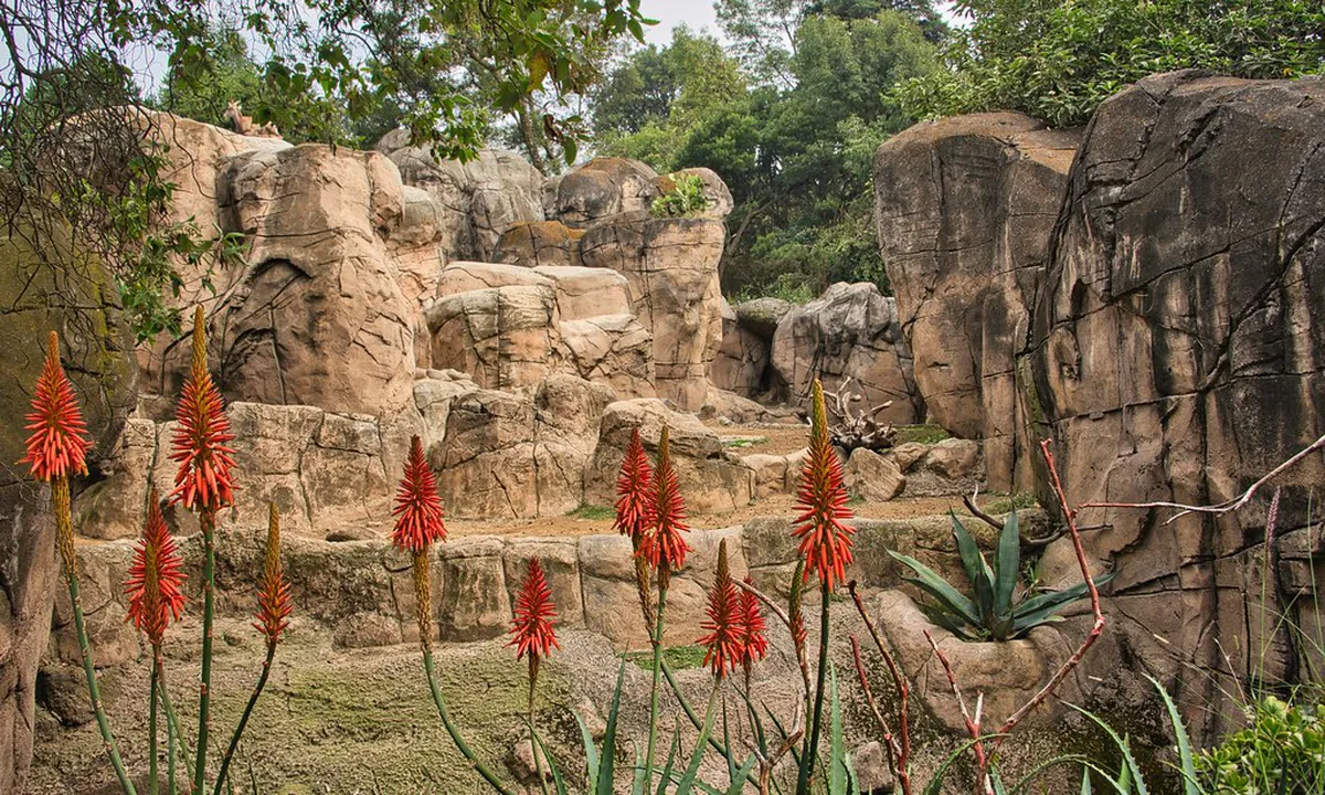 Best Self-Guided Oslo Architecture Tour 2025