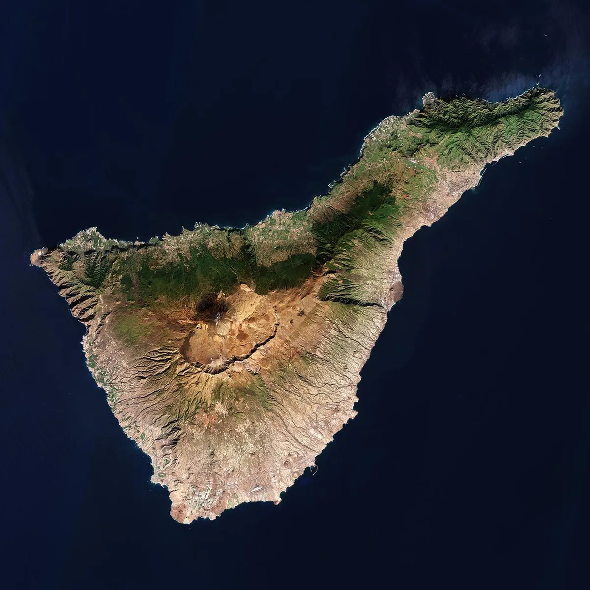 Best Time to Visit Santa Cruz de Tenerife: Your 2025 Guide