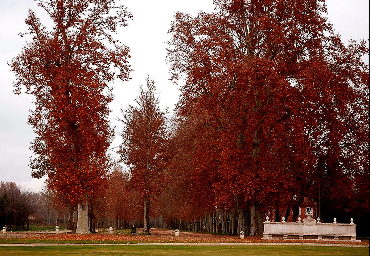 Bodø Urban Planning: A Guide to City Development 2025