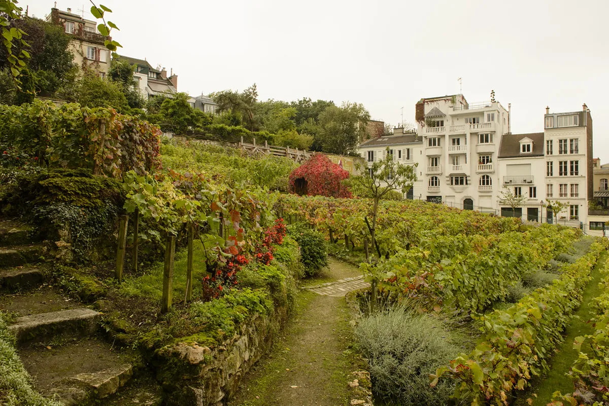Ultimate Bordeaux Wine Tasting Guide 2025: Explore Vineyards