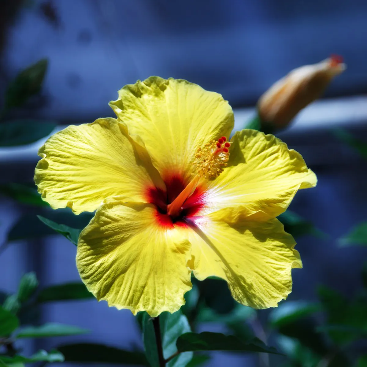 Discover Bygdøy Peninsula Architecture in Oslo