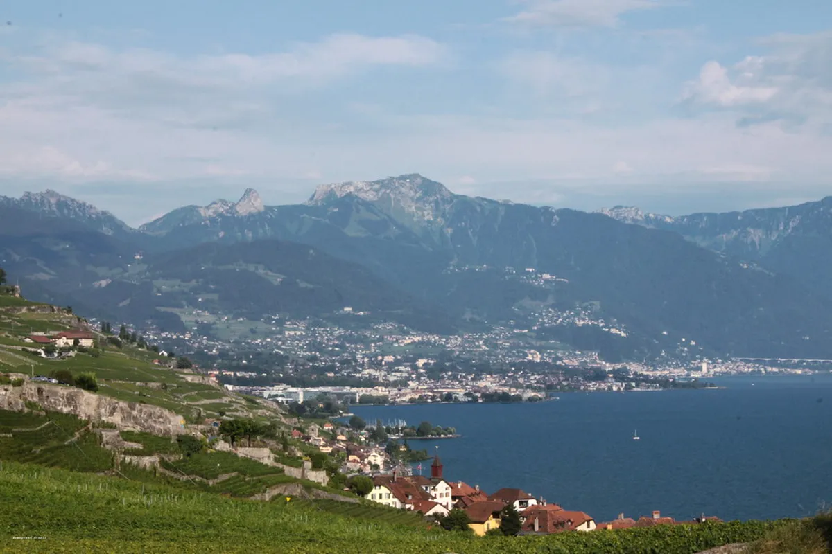 Chaplin's World Vevey Guide: Unforgettable Swiss Experience