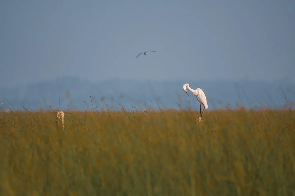 Cité Des Climats Et Vins De Bourgogne: Is It Worth Visiting? – itinerary guide