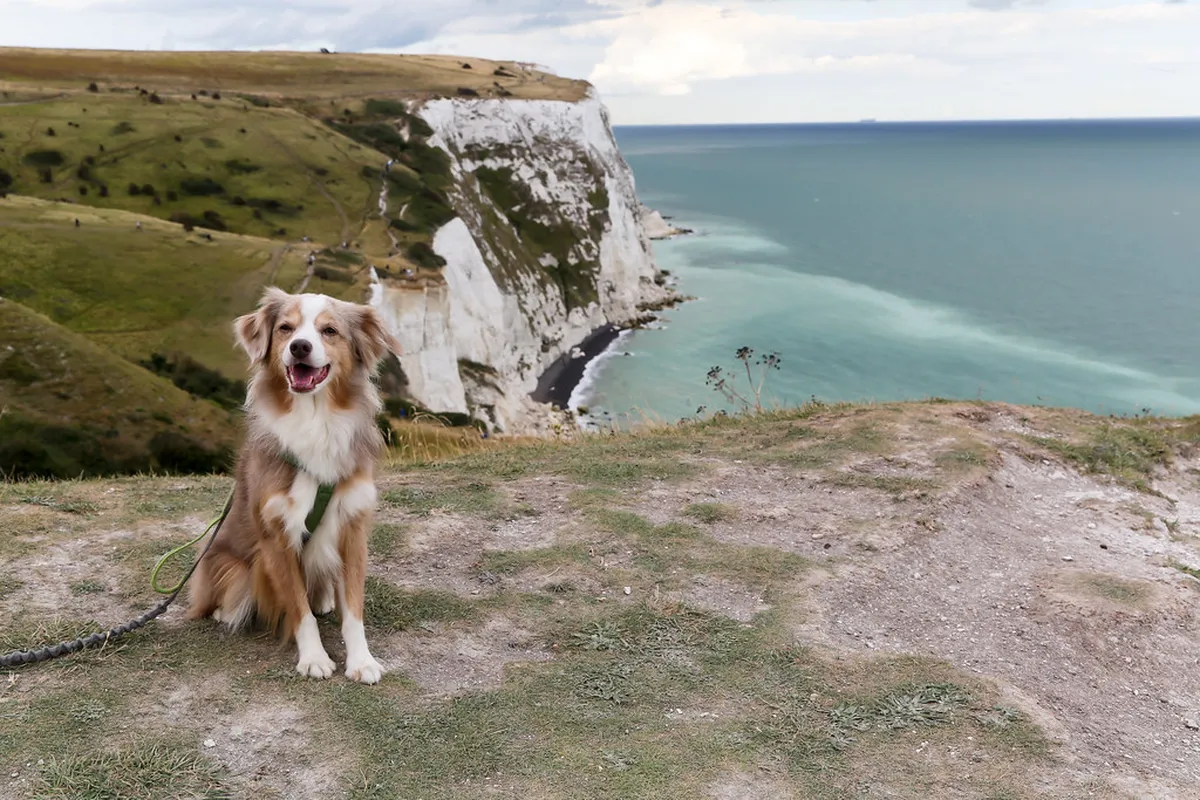 Best Day Trips from Dover in 2025: Explore Kent & Beyond