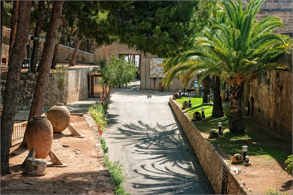 Dénia Castle Opening Hours & Visitor Guide 2025