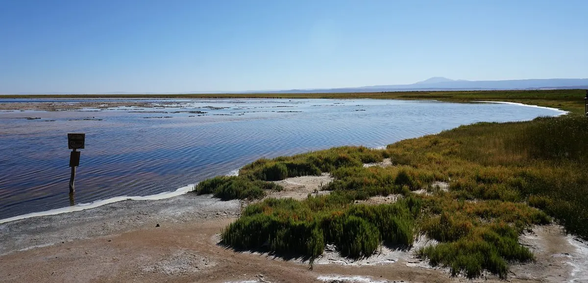 Protecting Stavanger's Historic Buildings Today: 2025 Guide