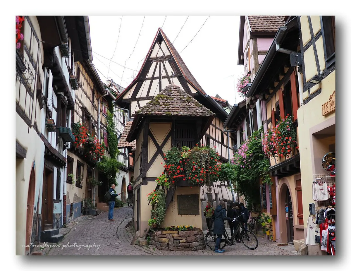 Eguisheim village Alsace