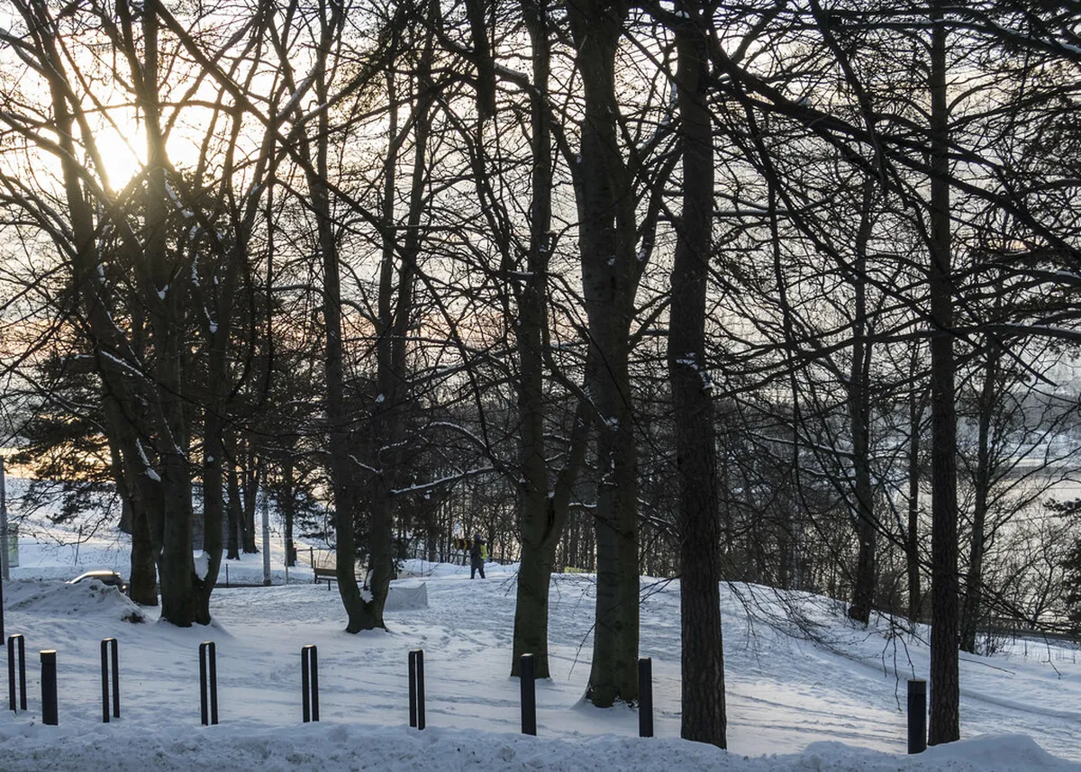 Ekebergparken Sculpture Park Guide: Oslo's Artistic Oasis