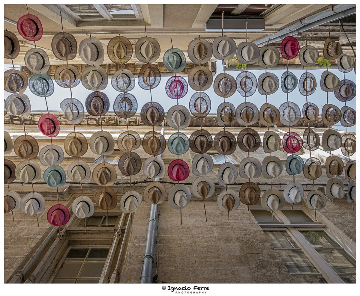 Essential Avignon Travel Tips for Your 2025 Trip