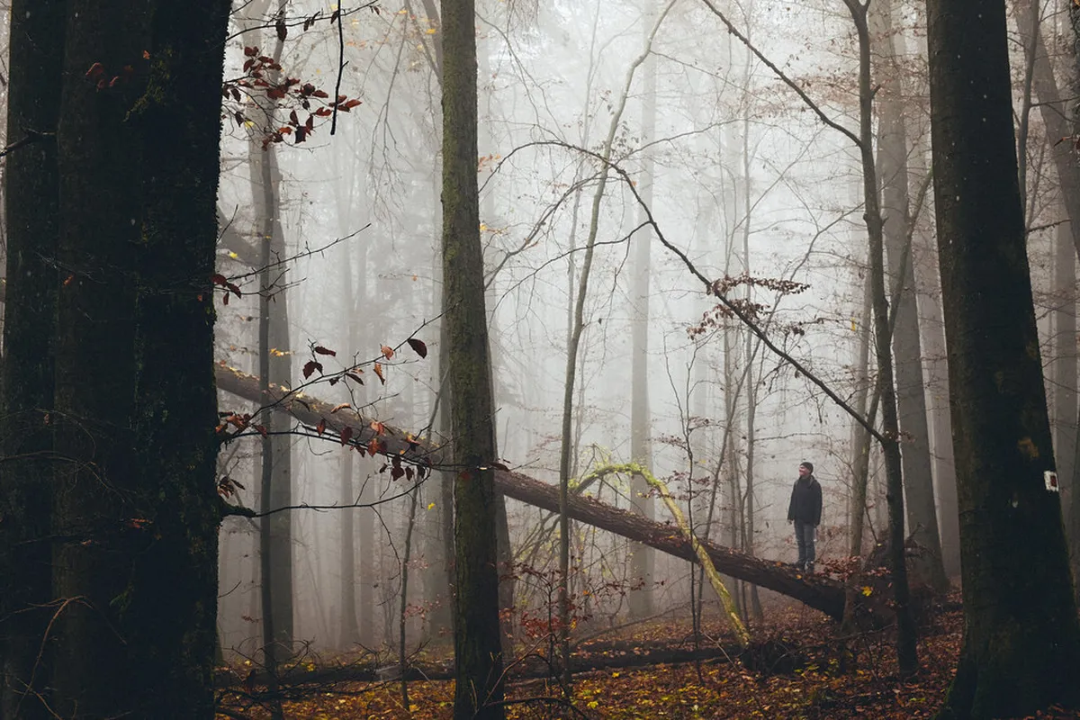 Exploring Rockheim Museum Building Trondheim