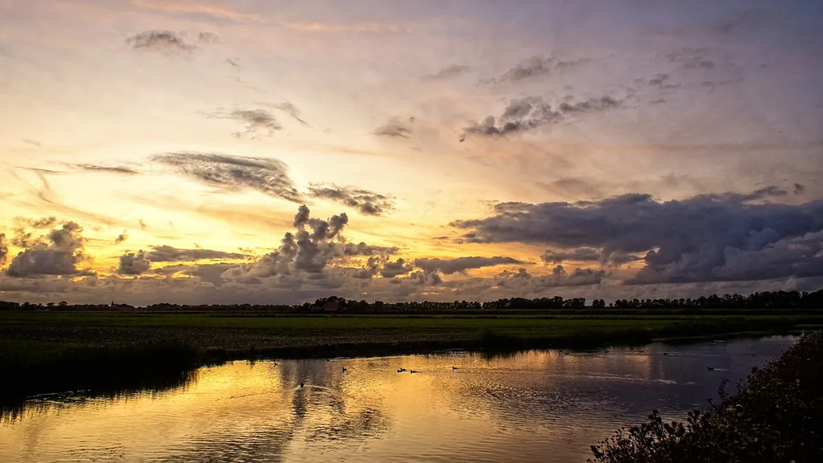 Getting Around Leeuwarden: Your 2025 Transport Guide