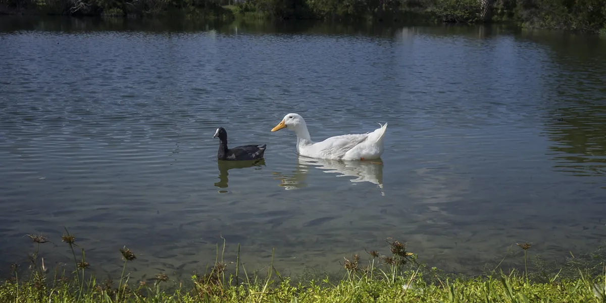 Grenoble Weather Guide: The Basin Effect and Best Time to Visit – itinerary guide