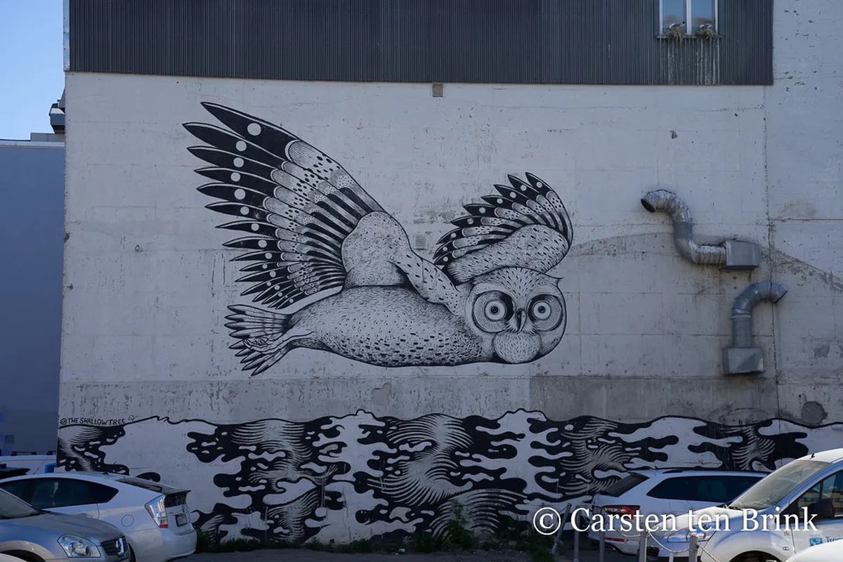 Unveiling the Vibrant Street Art in Tromsø