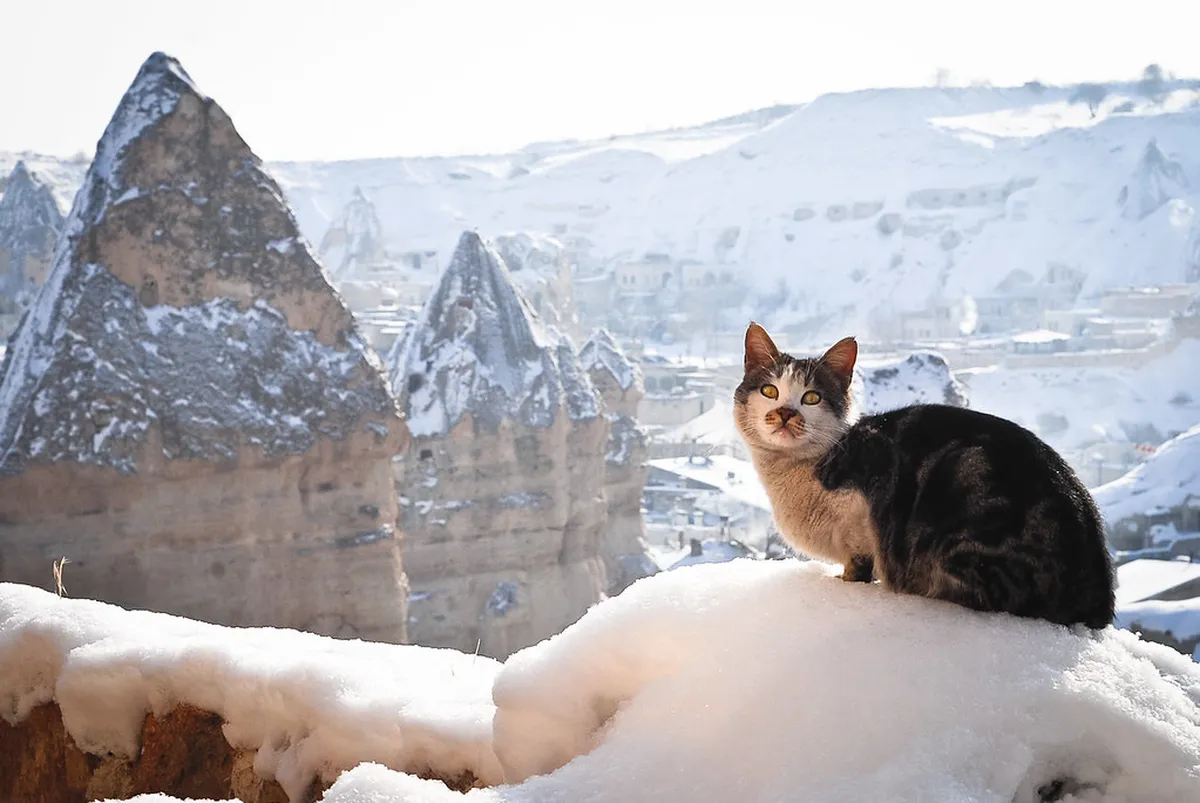 Seamless Göreme Airport Transfer Options for 2025 Travel