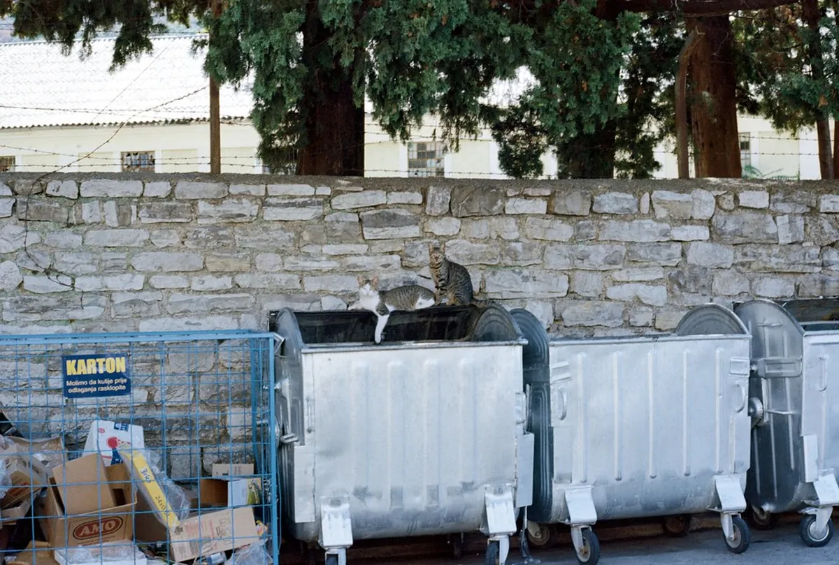How to Get Around Tivat: Your Ultimate 2025 Transport Guide