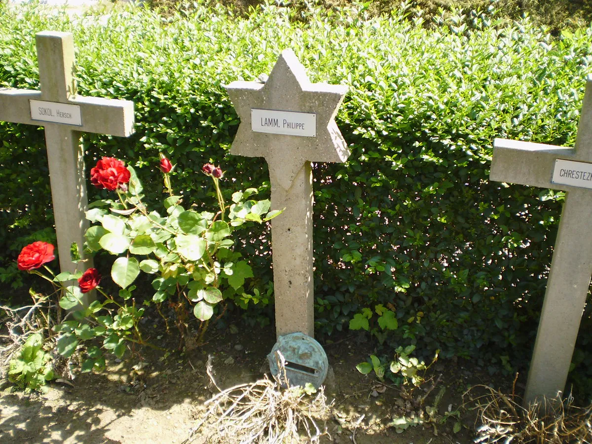 How to Book Philippe Le Bon Tower Tickets and Climb Times: 9 Essential Tips – itinerary guide