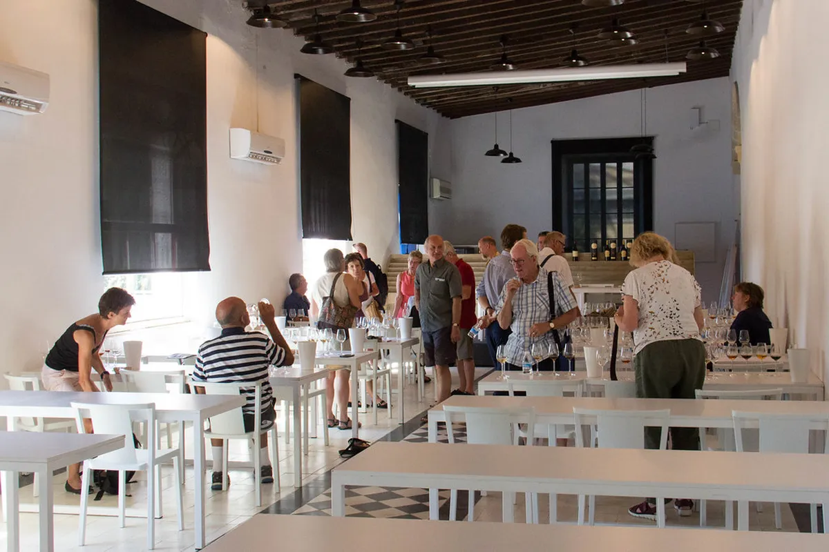 Jerez Sherry Tasting Guide: Explore Bodegas in 2025
