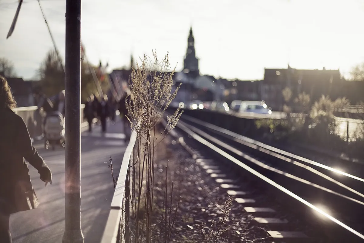 Discover Konstanz: A Perfect Walking Tour Route for 2025