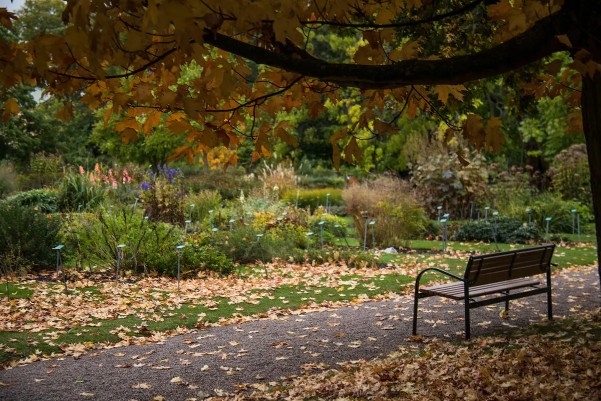 Lund Botanical Garden Entry: Your 2025 Visitor Guide