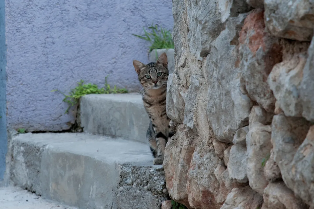 Mali Lošinj Budget Travel: Affordable Croatia Guide 2025