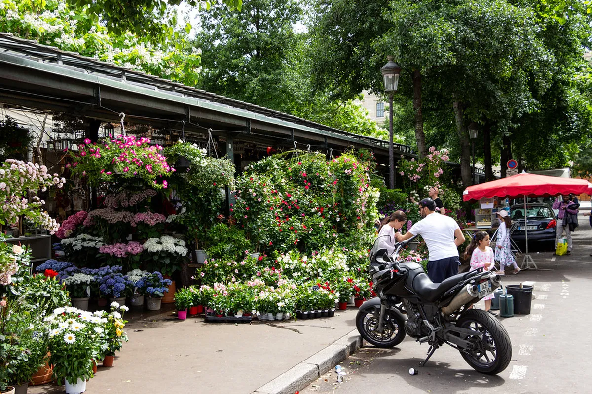Moscow Travel Tips 2025: Your Essential Planning Guide
