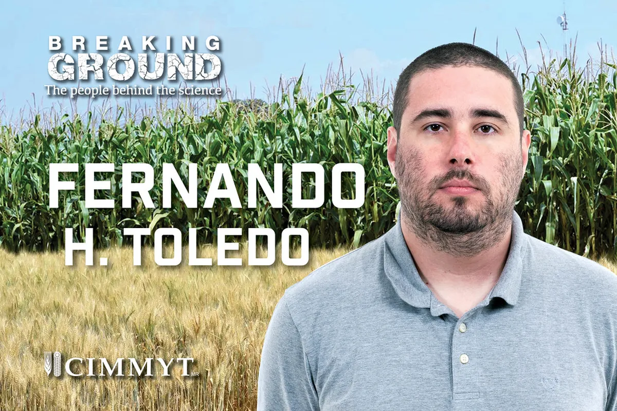 Must Try Food Toledo: A Culinary Guide for 2025