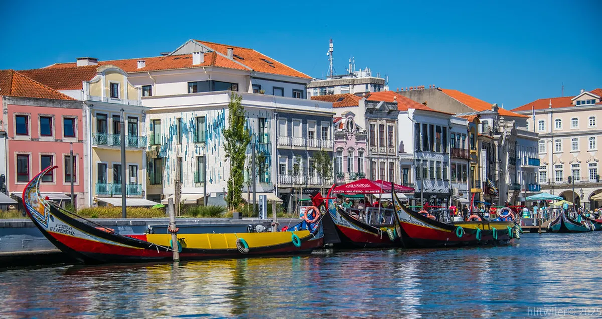 Nazaré Market Shopping Tips: Your 2025 Guide