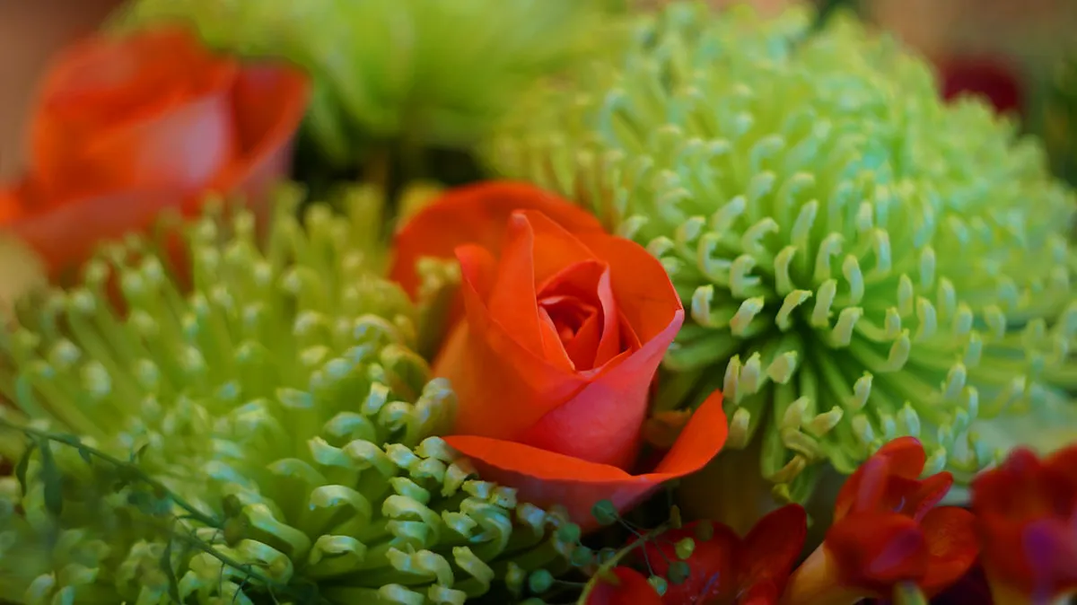 Nice Flower Market Prices and Tips: 2026 Budget Guide – itinerary guide