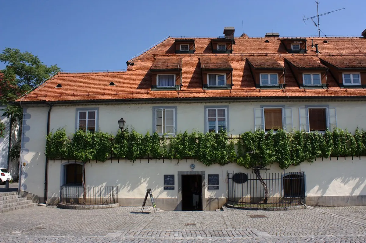 Discover Old Vine Maribor Tickets for 2025