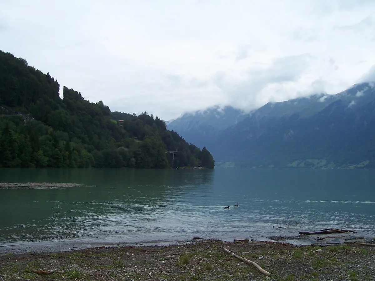 Best Panoramic Views of Bodø's Skyline in 2025