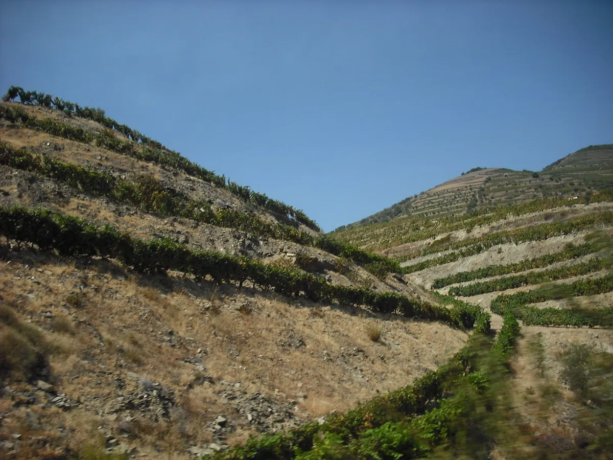 Pinhão Walking Routes Map: Explore Douro Valley Trails 2025