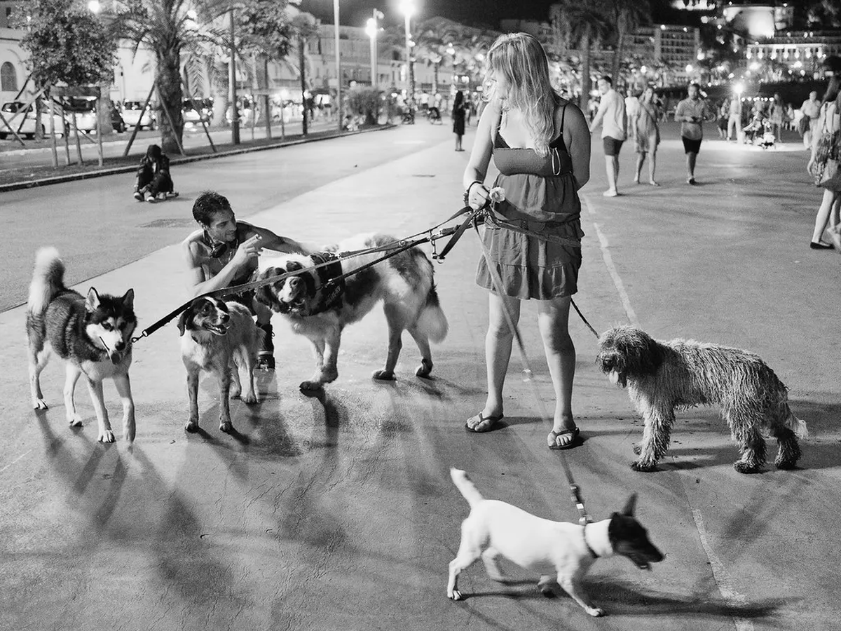 Promenade des Anglais Walking Map: Route Guide