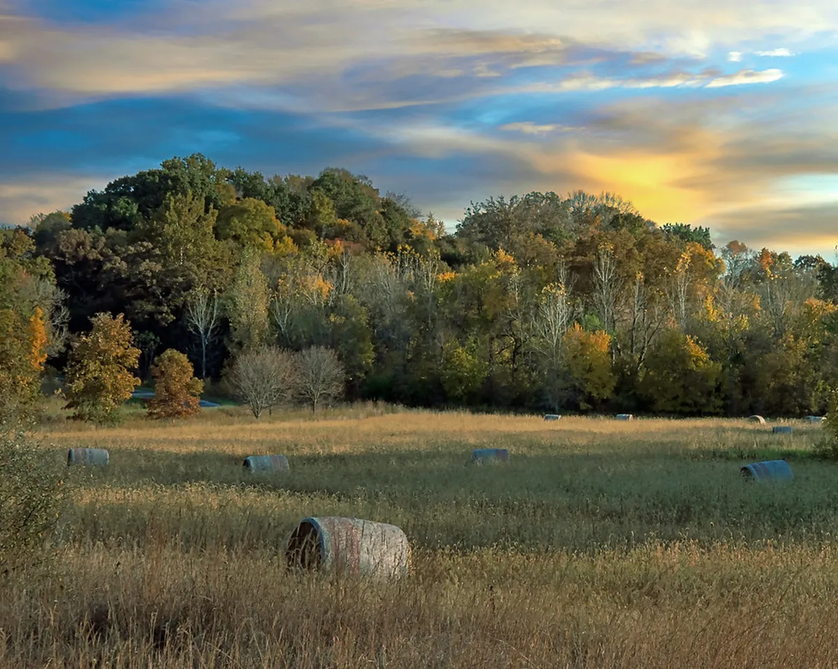 Public Access to Stavanger City Hall Building