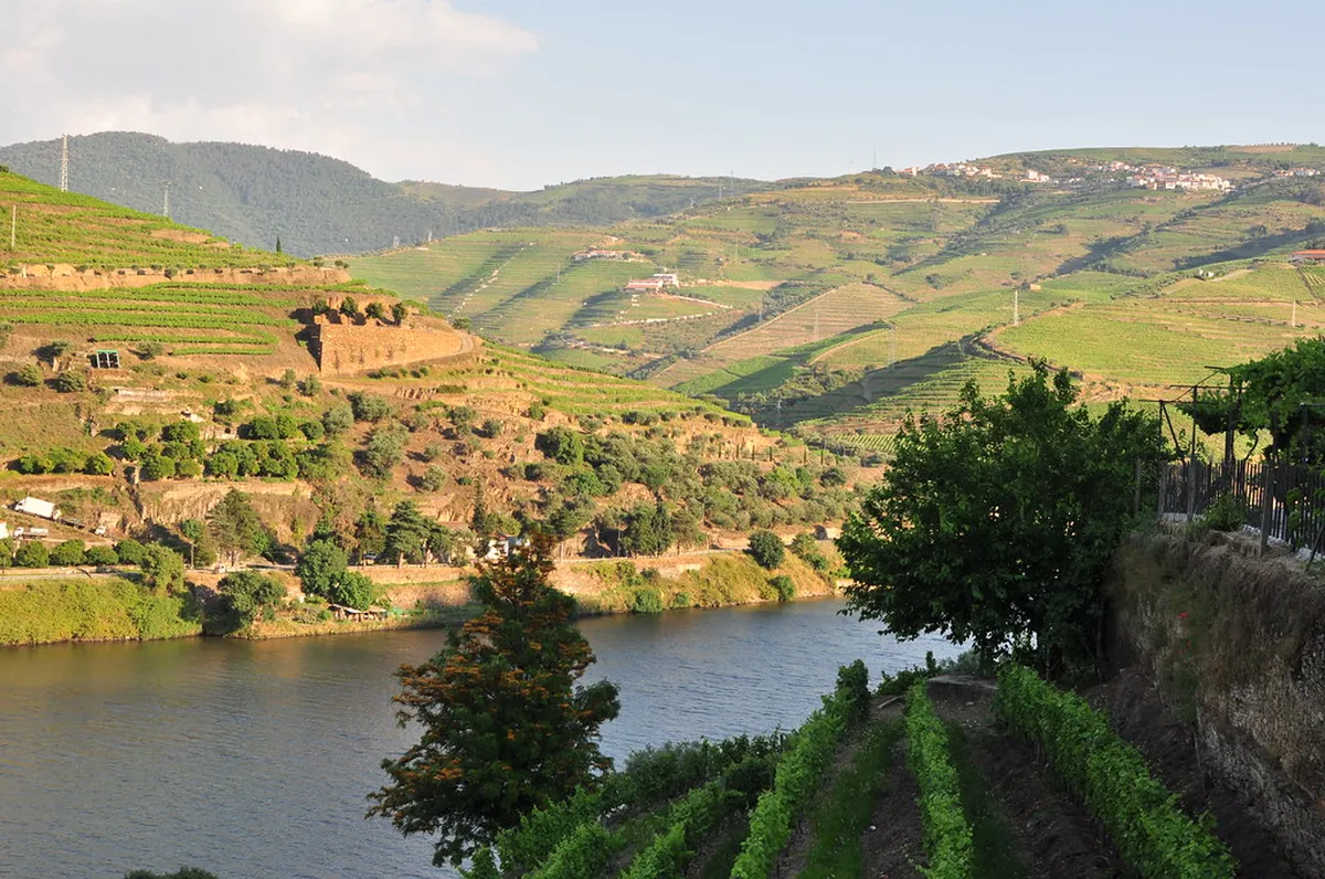 Quinta Visits Pinhão Tips: Your Ultimate 2025 Guide