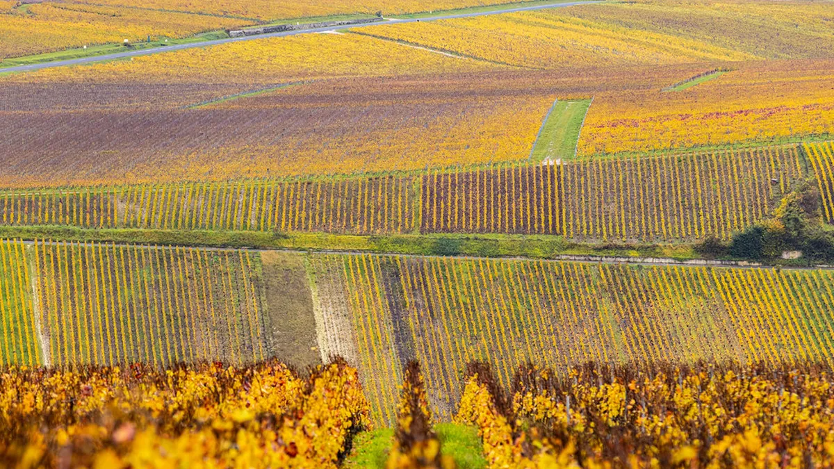 Your Ultimate Reims Itinerary for First-Timers in 2025
