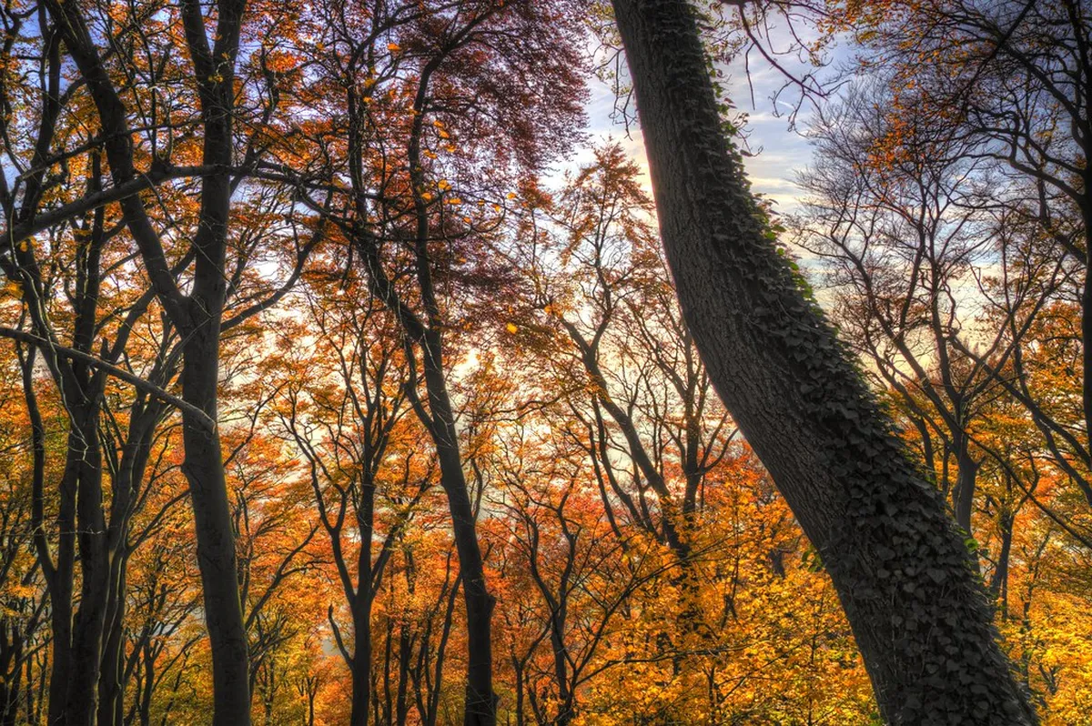 Seasonal Weather for Bodø Architecture Tours 2025