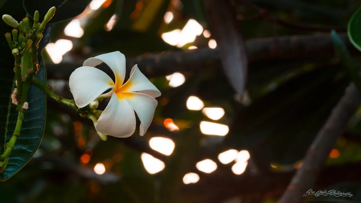 Stavanger Architecture: A Timeline of Development (2025)