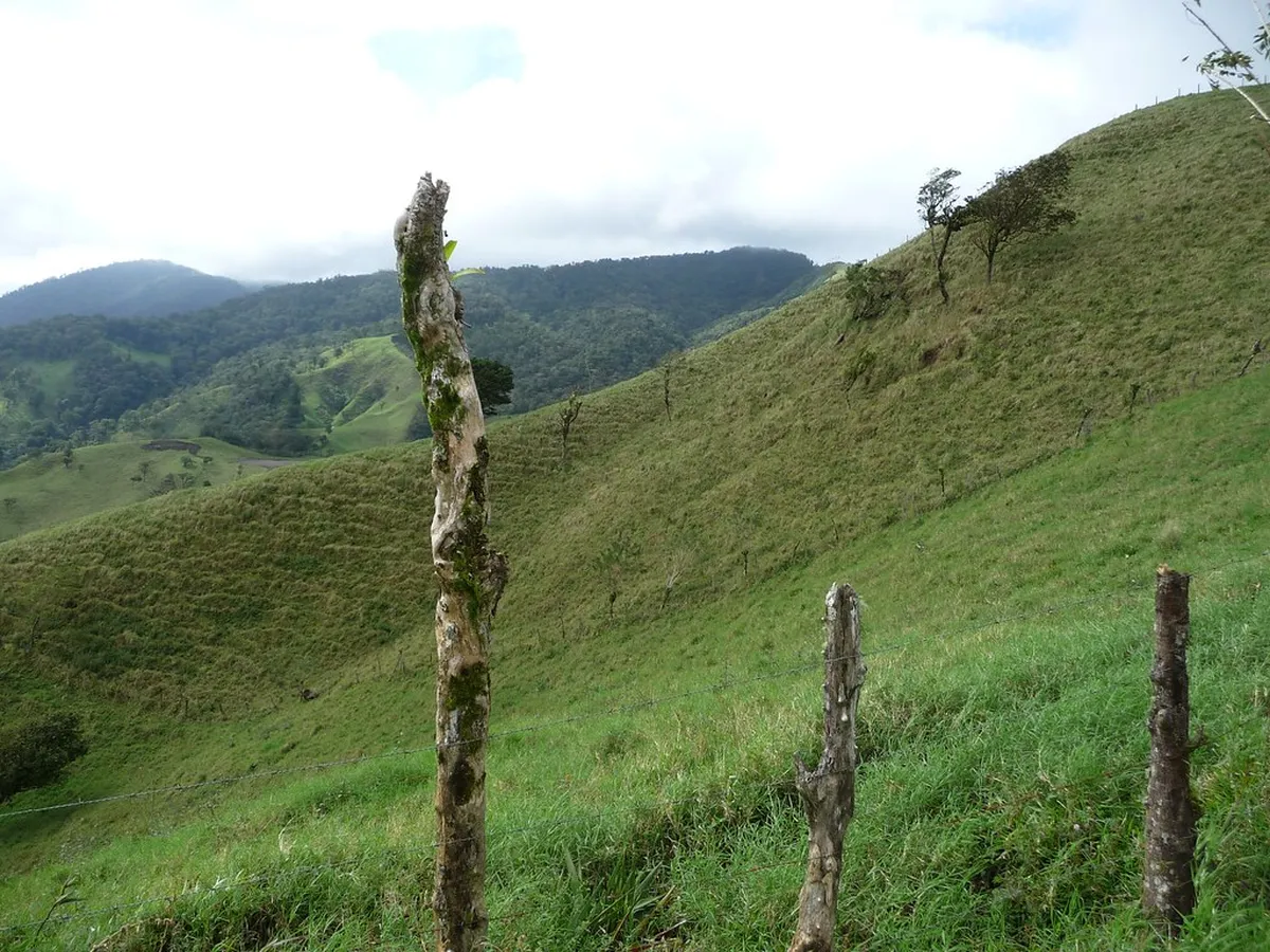Discover Top Attractions in La Laguna, Tenerife