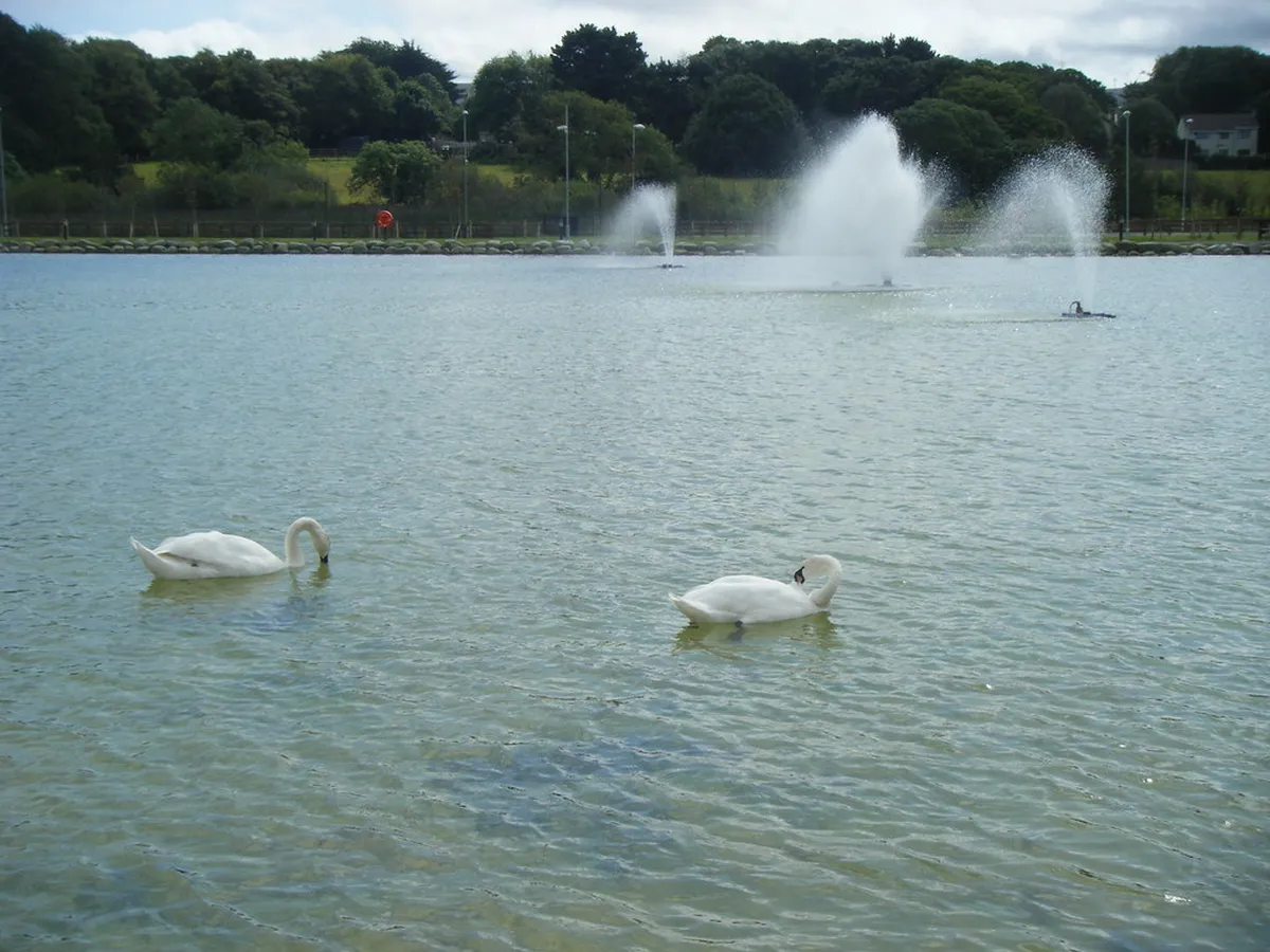Top Tralee Family Activities 2025: Fun for All Ages – itinerary guide