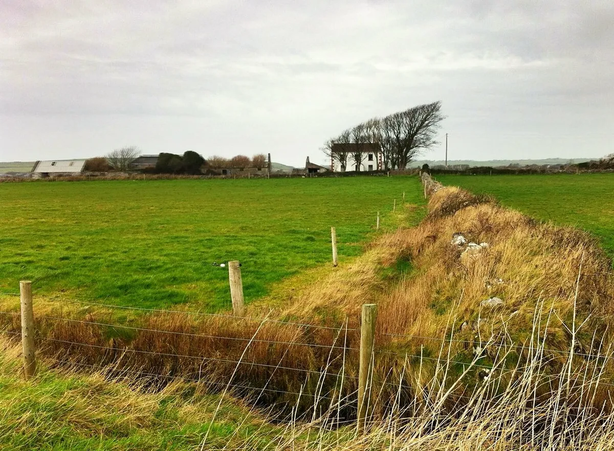 Discover Tralee's Hidden Gems: Unforgettable Spots for 2025