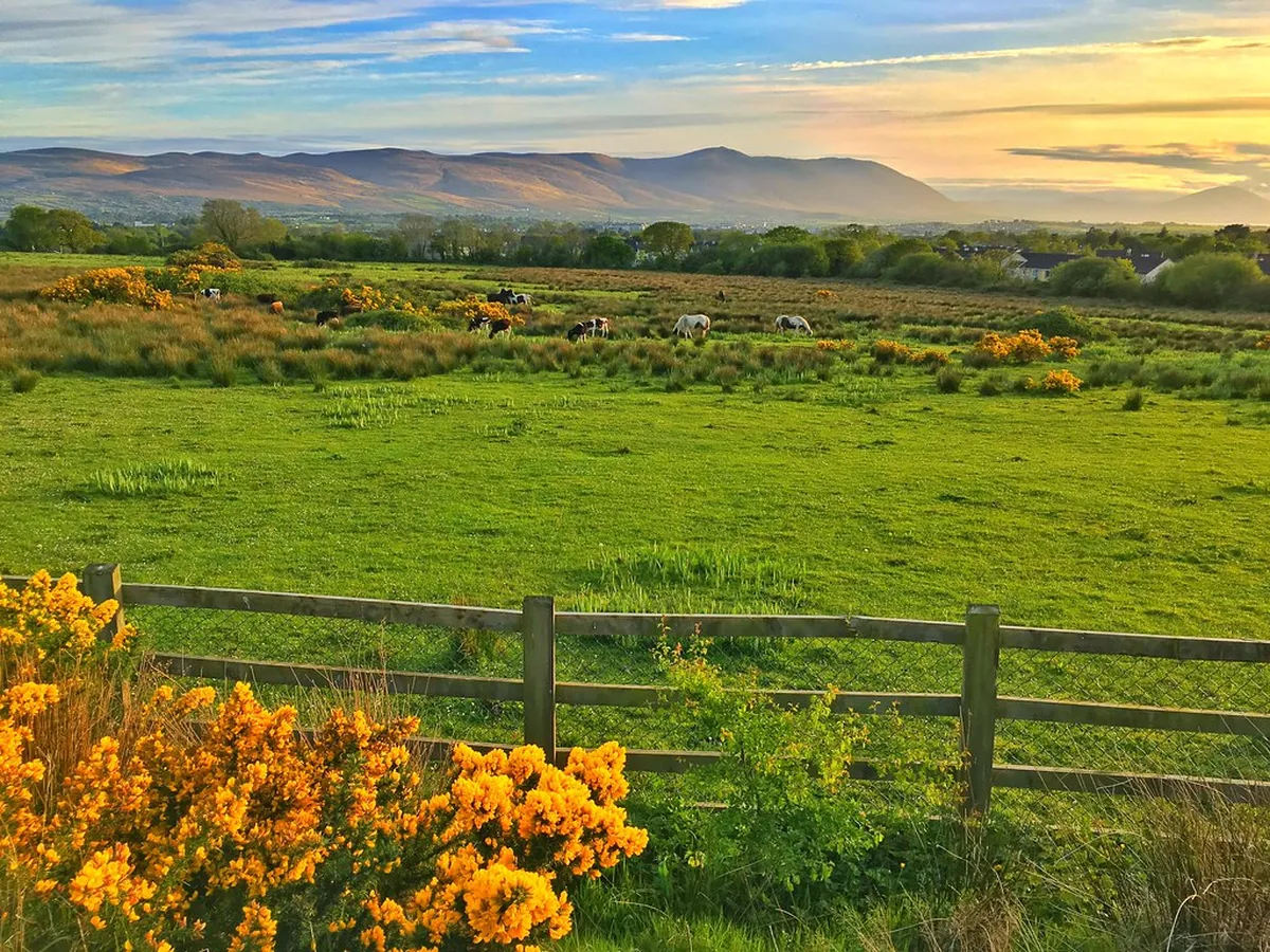 Tralee Itinerary for First-Timers: Your Ultimate 2025 Guide