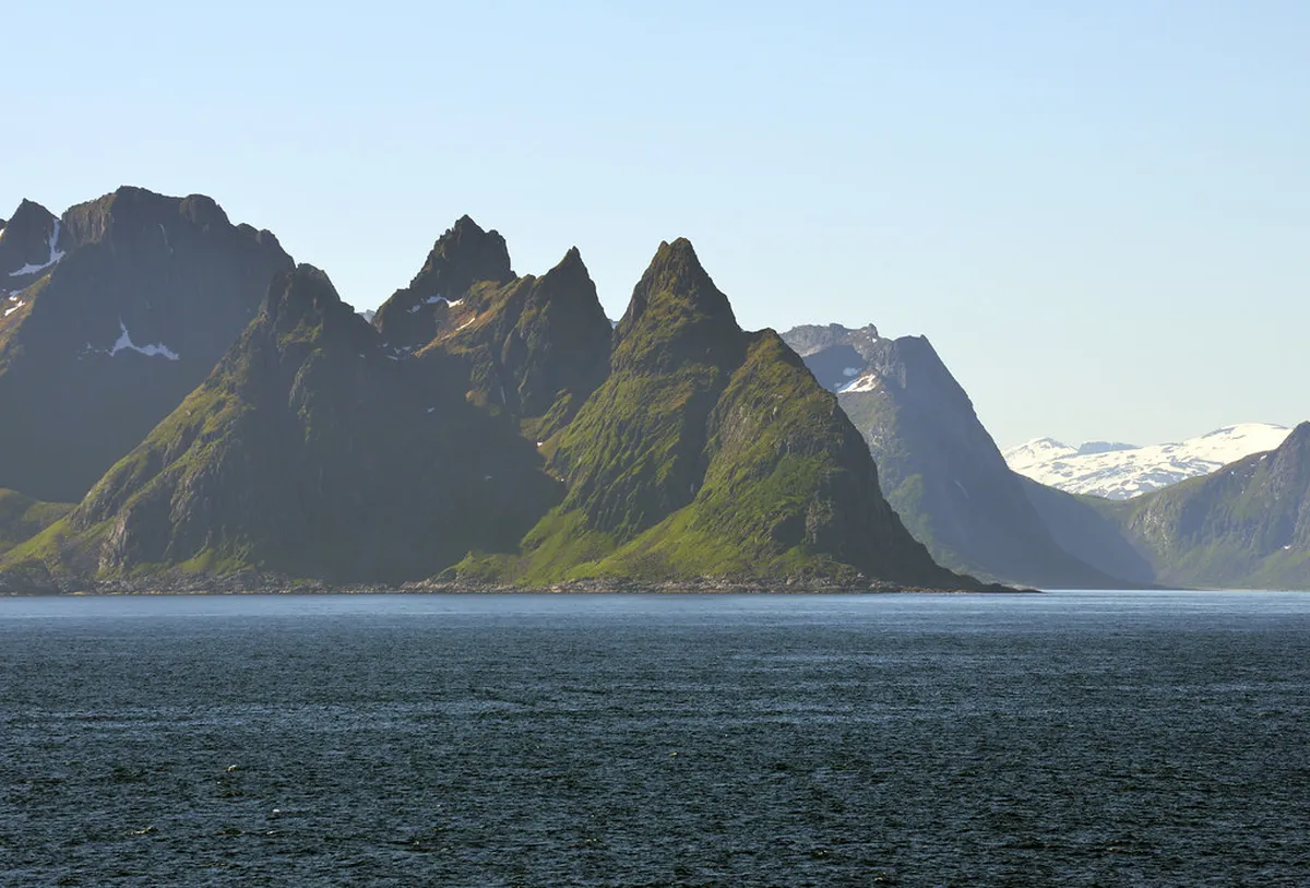 Tromsø Fjord Cruise Options: Your 2025 Guide