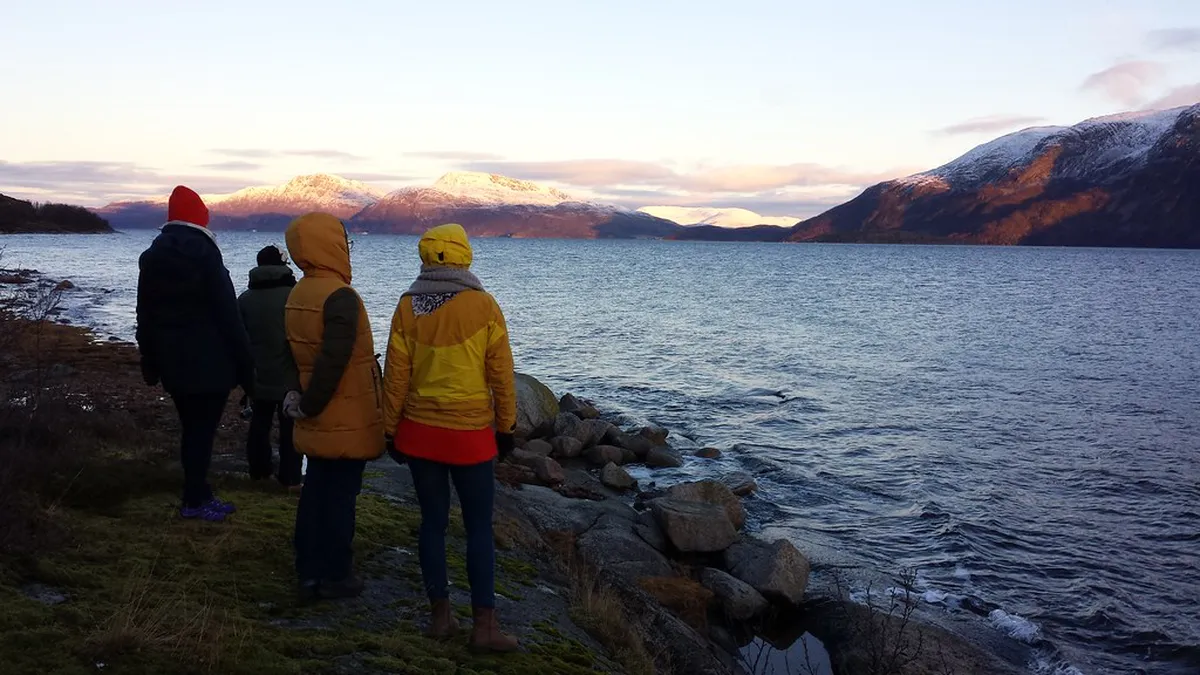 Tromsø Whale Watching Tours 2025: Your Ultimate Guide