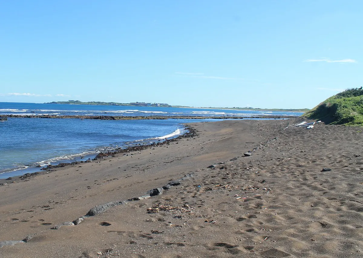 Udo Island Day Trip from Jeju: Complete 2026 Guide (Ferry, Beaches & What to Do) – itinerary guide