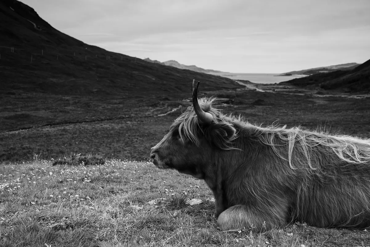 Ullapool Budget Travel Guide: Explore Scotland Affordably